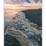 DÃ©pots d'Ã©cume de mer Ã  la marÃ©e montante en Baie de Somme (Le Crotoy) et au crÃ©puscule. - Saison : Ã©tÃ© - Lieu : Le Crotoy, Baie de Somme, Somme, Picardie, France