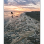 DÃ©pots d'Ã©cume de mer Ã  la marÃ©e montante en Baie de Somme (Le Crotoy) et au crÃ©puscule. - Saison : Ã©tÃ© - Lieu : Le Crotoy, Baie de Somme, Somme, Picardie, France