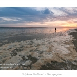 DÃ©pots d'Ã©cume de mer Ã  la marÃ©e montante en Baie de Somme (Le Crotoy) et au crÃ©puscule. - Saison : Ã©tÃ© - Lieu : Le Crotoy, Baie de Somme, Somme, Picardie, France