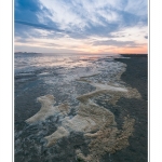 DÃ©pots d'Ã©cume de mer Ã  la marÃ©e montante en Baie de Somme (Le Crotoy) et au crÃ©puscule. - Saison : Ã©tÃ© - Lieu : Le Crotoy, Baie de Somme, Somme, Picardie, France