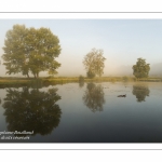 Le marais d'Epagne-Epagnette - vallée de la Somme