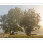 Le marais d'Epagne-Epagnette - vallée de la Somme