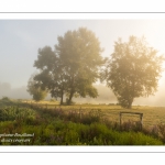 Le marais d'Epagne-Epagnette - vallée de la Somme