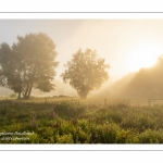 Le marais d'Epagne-Epagnette - vallée de la Somme