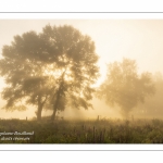 Le marais d'Epagne-Epagnette - vallée de la Somme