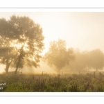 Le marais d'Epagne-Epagnette - vallée de la Somme