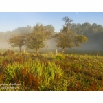 Le marais d'Epagne-Epagnette - vallée de la Somme