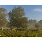 Le marais d'Epagne-Epagnette - vallée de la Somme