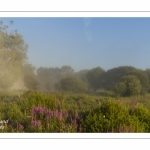 Le marais d'Epagne-Epagnette - vallée de la Somme