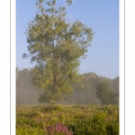 Le marais d'Epagne-Epagnette - vallée de la Somme