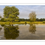 Le marais d'Epagne-Epagnette - vallée de la Somme