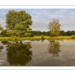 Le marais d'Epagne-Epagnette - vallée de la Somme