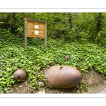 Le Blockhaus d'Eperlecques