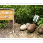 Le Blockhaus d'Eperlecques
