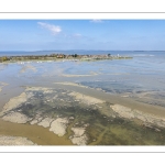 Grande marée d'équinoxe à coefficient 115 en Baie de Somme
