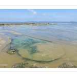 Grande marée d'équinoxe à coefficient 115 en Baie de Somme