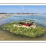 Grande marée d'équinoxe à coefficient 115 en Baie de Somme