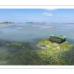 Grande marée d'équinoxe à coefficient 115 en Baie de Somme