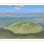 Grande marée d'équinoxe à coefficient 115 en Baie de Somme