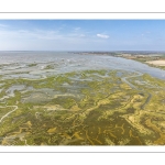 Grande marée d'équinoxe à coefficient 115 en Baie de Somme