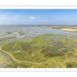 Grande marée d'équinoxe à coefficient 115 en Baie de Somme