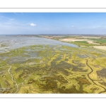 Grande marée d'équinoxe à coefficient 115 en Baie de Somme