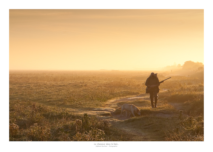 baie_de_somme_chasse_001
