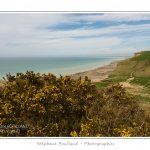 Promenade au sommet des falaises, entre Mers-les-bains et Le Bois de Cise en suivant le chemin de randonnÃ©e.  Saison : Printemps - Lieu : Mers-les-bains / Bois de Cise, Somme, CÃ´te Picarde, Picardie, France.