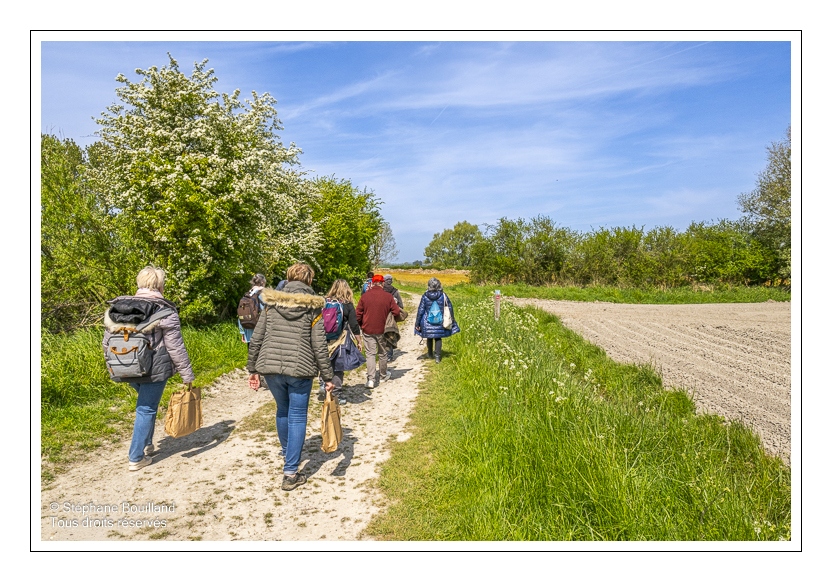 Sortie nature "Sur les rails et les chemins de la baie de Somme") animée par Corinne Vasseur