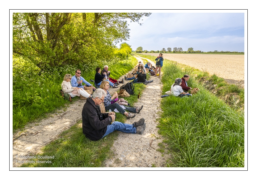 Sortie nature "Sur les rails et les chemins de la baie de Somme") animée par Corinne Vasseur