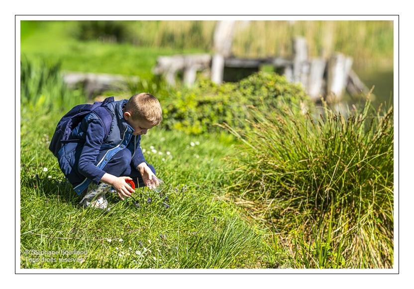 Sortie nature "Zzzzzzoom sur les insectes" animée par Corinne Vasseur