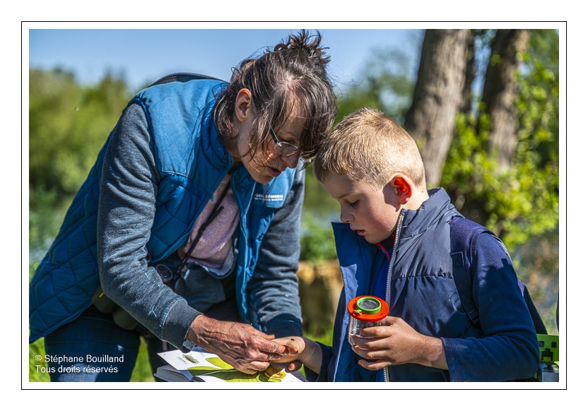 Sortie nature "Zzzzzzoom sur les insectes" animée par Corinne Vasseur