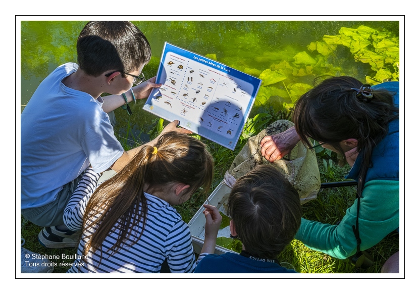sortie nature "Les supers pouvoirs de la nature", animée par Corinne Vasseur
