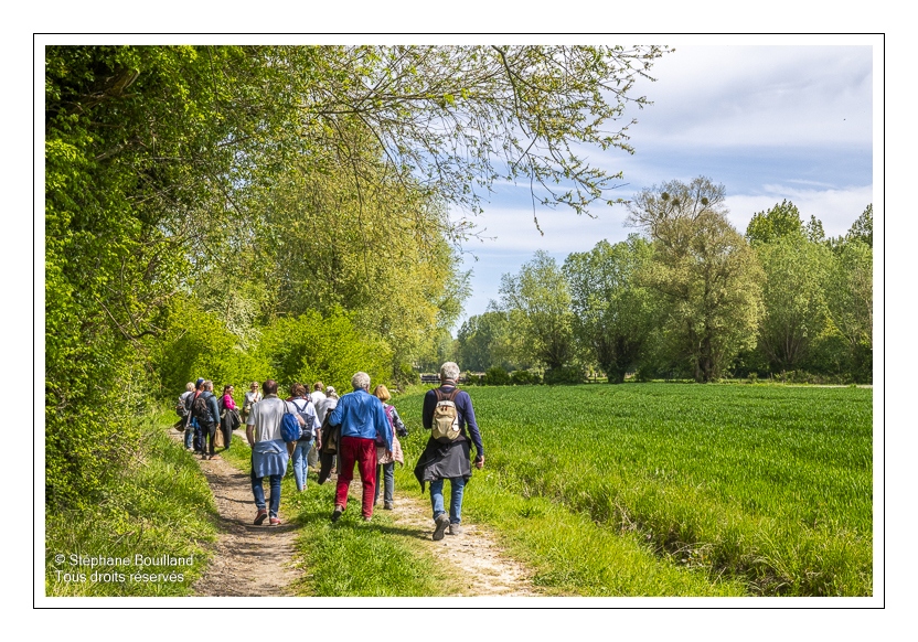 Sortie nature "Sur les rails et les chemins de la baie de Somme") animée par Corinne Vasseur
