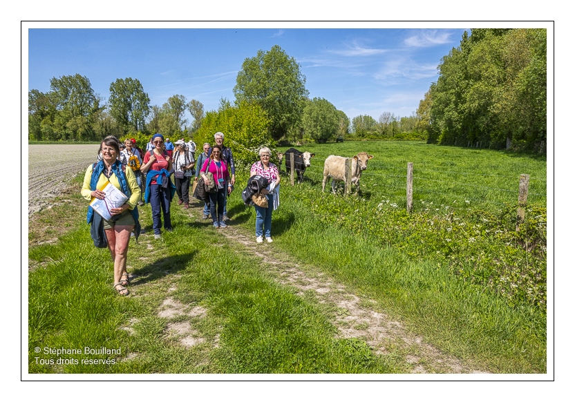 Sortie nature "Sur les rails et les chemins de la baie de Somme") animée par Corinne Vasseur
