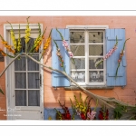 Les fêtes de la mer à Saint-Valery-sur-Somme