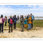 Balade botanique et poétique en baie de Somme - Flora Delalande - Festival de l'oiseau