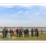 Balade botanique et poétique en baie de Somme - Flora Delalande - Festival de l'oiseau