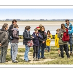 Balade botanique et poétique en baie de Somme - Flora Delalande - Festival de l'oiseau