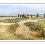 Balade botanique et poétique en baie de Somme - Flora Delalande - Festival de l'oiseau