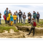 Balade botanique et poétique en baie de Somme - Flora Delalande - Festival de l'oiseau