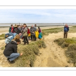 Balade botanique et poétique en baie de Somme - Flora Delalande - Festival de l'oiseau