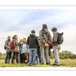 Balade botanique et poétique en baie de Somme - Flora Delalande - Festival de l'oiseau