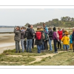 Balade botanique et poétique en baie de Somme - Flora Delalande - Festival de l'oiseau