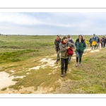 Balade botanique et poétique en baie de Somme - Flora Delalande - Festival de l'oiseau