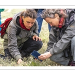 Balade botanique et poétique en baie de Somme - Flora Delalande - Festival de l'oiseau