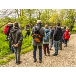 Balade botanique et poétique en baie de Somme - Flora Delalande - Festival de l'oiseau