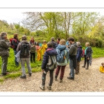 Balade botanique et poétique en baie de Somme - Flora Delalande - Festival de l'oiseau