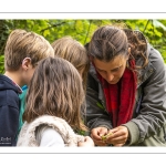 Balade botanique et poétique en baie de Somme - Flora Delalande - Festival de l'oiseau