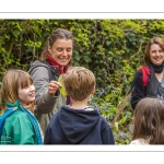 Balade botanique et poétique en baie de Somme - Flora Delalande - Festival de l'oiseau